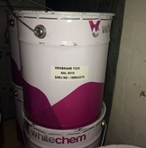 Whitechem T225 1K     15 