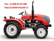          Agroexport